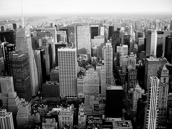 Concrete Jungle