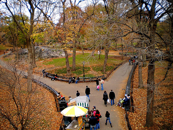 Autumn in Central Park